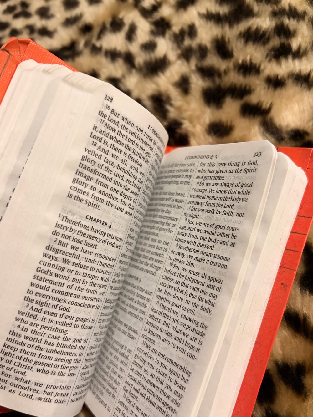 New Testament - Picture 3 of 3